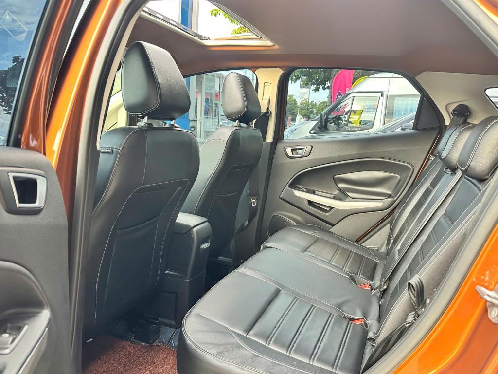 ecosport (9)