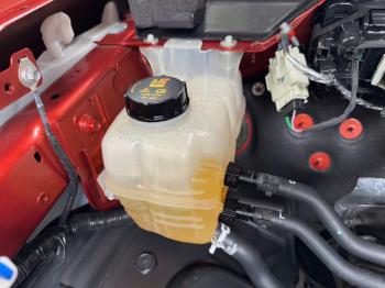 FORD RANGER XLS SỐ TỰ ĐỘNG 2 CẦU MÀU ĐỎ CAM 20241789642814877_1921776930109827517_g6942579171103842382_b491a8bf79d69d06fa3339d32416183b
